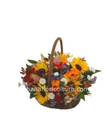 Composizione con girasoli