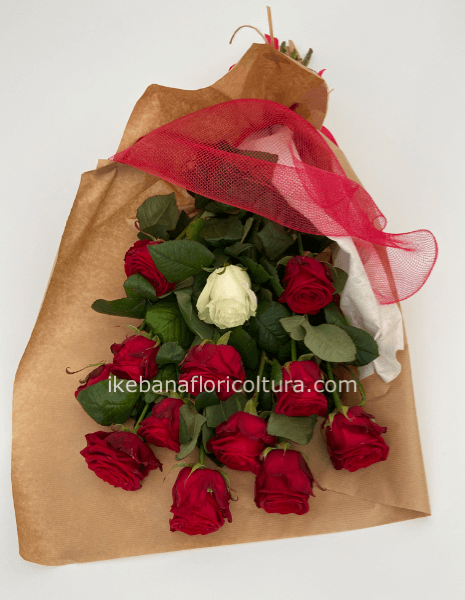 Rose rosse a stelo