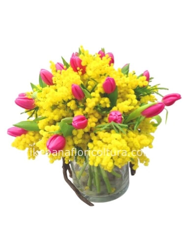 Bouquet di tulipani e mimosa